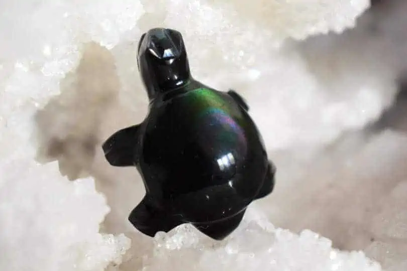 Pendentif Tortue Oeil Céleste