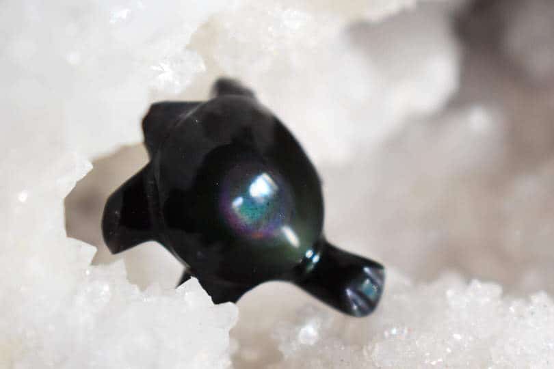 Pendentif Tortue Oeil Céleste