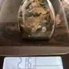 Labradorite Forme Libre Qualité AA 216g
